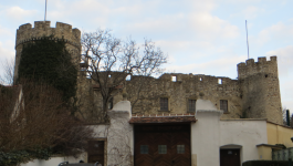 Burgruine Turmhof  (Hof am Leithaberge)