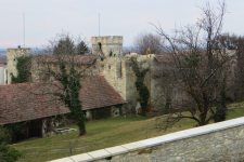 Burgruine Turmhof  (Hof am Leithaberge)