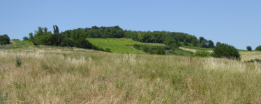 Natuschutzgebiet Eichkogel (Mödling)