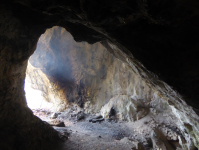 Hallourhöhle und Waxeneckhaus (Steinhof) (Berndorf)