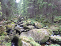 Naturdenkmal Höllfall (Pretrobruck) (Arbesbach)