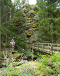 Naturdenkmal Höllfall (Pretrobruck) (Arbesbach)