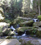 Naturdenkmal Lohnbachfall (Pehendorf) (Rappottenstein)