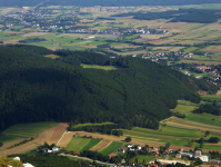 Zweier Wald (Willendorf am Steinfelde)