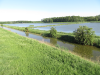 vogel.schau.plätze  (Hohenau an der March)