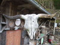 Heimatmuseum Brauhaus (Scheutz) (Lichtenau im Waldviertel)