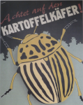 Kartoffelkäfer (Prinzendorf)