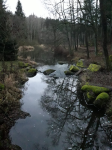 Herrensee (Litschau)