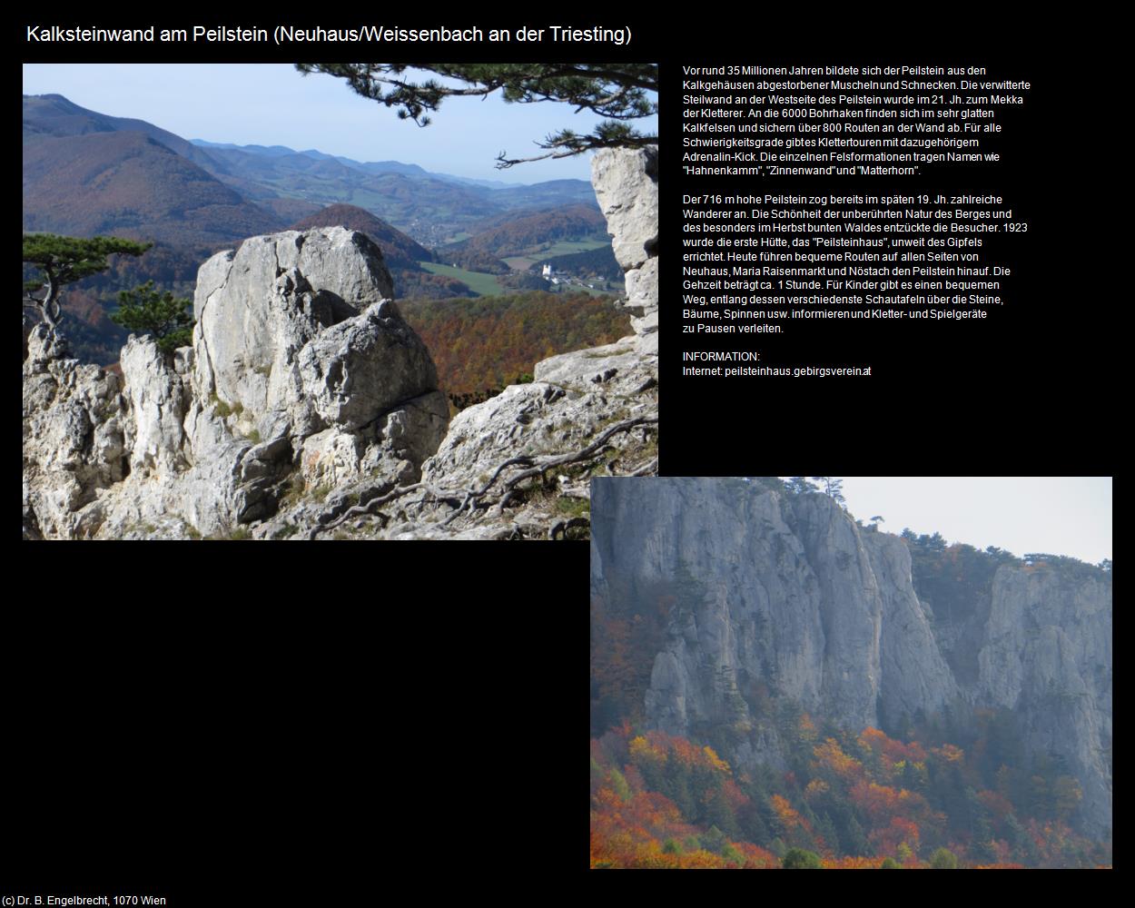 Kalksteinwand am Peilstein  (Neuhaus/Weissenbach an der Triesting) in Kulturatlas-NIEDERÖSTERREICH