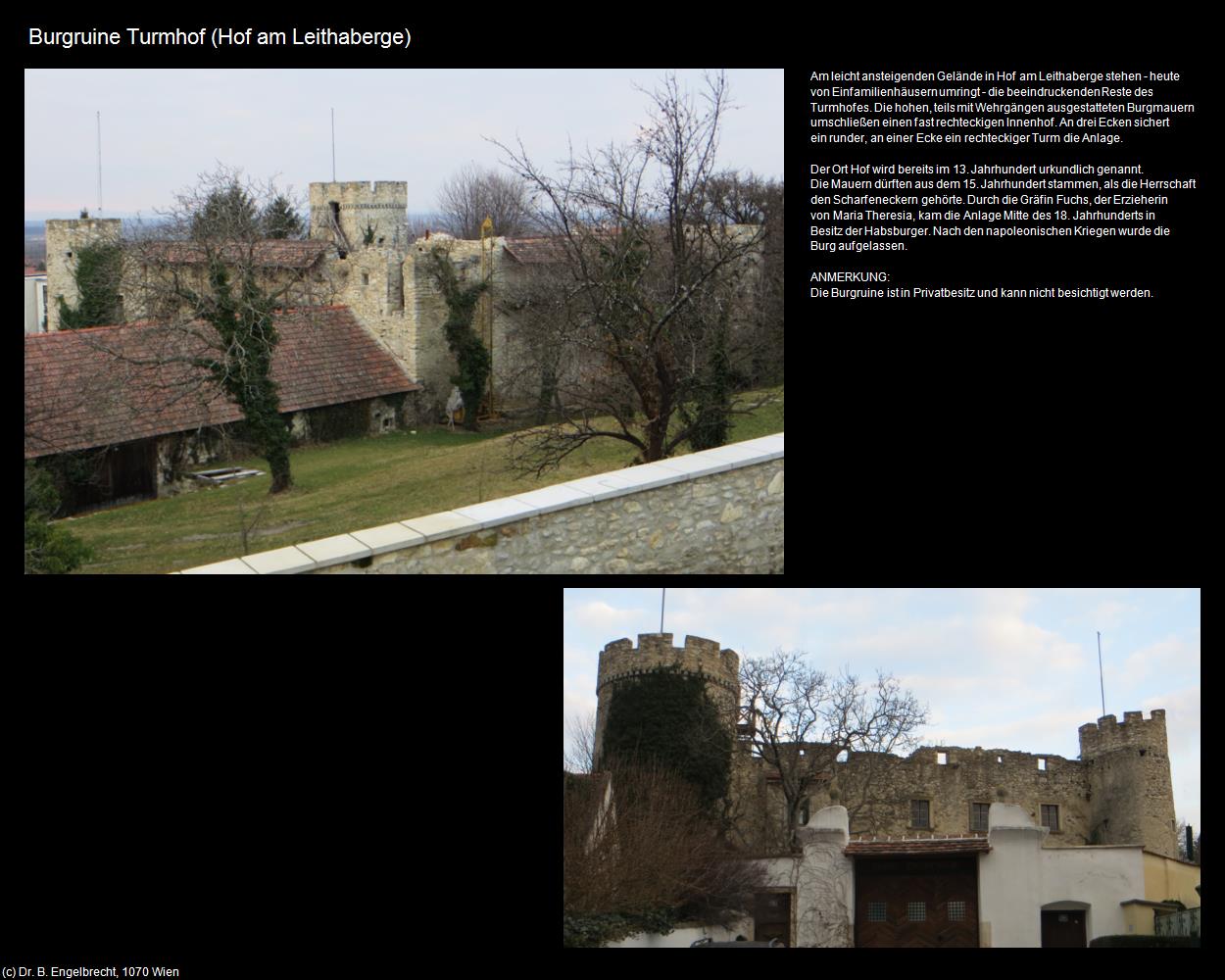 Burgruine Turmhof  (Hof am Leithaberge) in Kulturatlas-NIEDERÖSTERREICH