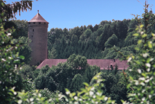 Schloss Wildberg (Riedl) (Kirchschlag bei Linz)