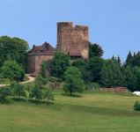 Burgruine Lobenstein (Oberneukirchen)