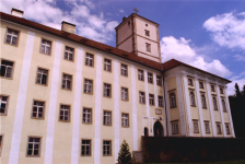 Afrika Museum in Schloss Riedegg (Alberndorf in der Riedmark)