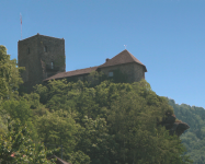 Burg Werfenstein (Sarmingstein)