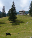 Wurzeralm  (Spital am Pyhrn)