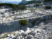 Gebirgsbildung  (Dachstein)