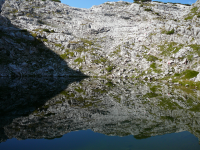 Vegetation (Dachstein)