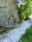 Sensengebirge mit Hoher Nock  (Sankt Pankraz)