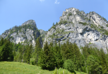 Naturerlebnisweg Von Alm zu Alm  (Rosenau am Hengstpaß)