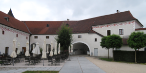 Schloss Traun (Traun) (Traun)