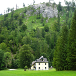 Holzzuganlage im Weißenbachtal (Steinbach am Attersee)