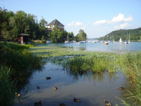 Naturpark Buchberg (Mattsee)