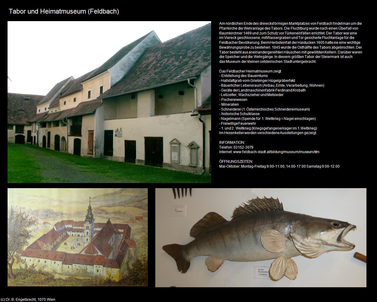 Tabor und Heimatmuseum (Feldbach) in Kulturatlas-STEIERMARK