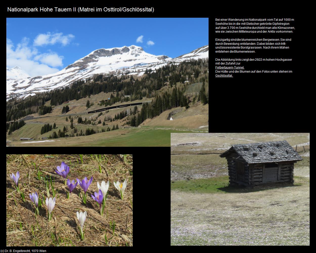Nationalpark Hohe Tauern II (Gschlössltal) (Matrei in Osttirol) in Kulturatlas-TIROL(c)B.Engelbrecht