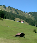 Stallungen im Kleinen Walsertal (Mittelberg)