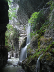 Alplochschlucht (Dornbirn)