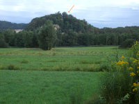 Naturschutzgebiet Burgruine Neuburg  (Koblach)