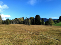 Moore Krumbach im Naturpark Nagelfluhkette (Krumbach im Bregenzer Wald)