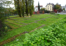 R&ouml;mervilla am Steinb&uuml;hel (Bregenz)