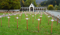 Landeskrankenhaus und Valduna-Friedhof (Rankweil)