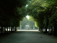 Gloriette und Schlosspark (Schönbrunn)