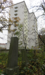 Jüdischer Friedhof Währing II (XIX. Bezirk-Döbling)