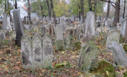 Jüdischer Friedhof Währing I (XIX. Bezirk-Döbling)