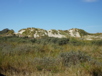 Sandstrand und Kusttram (Middelkerke) (Middelkerke)