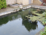 Les sources de la Semois (Arlon/Arel)