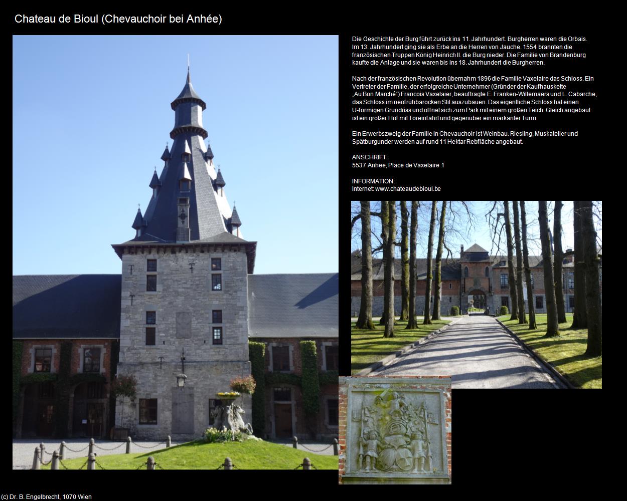 Chateau de Bioul (Chevauchoir bei Anhée) (Anhée) in Kulturatlas-BELGIEN