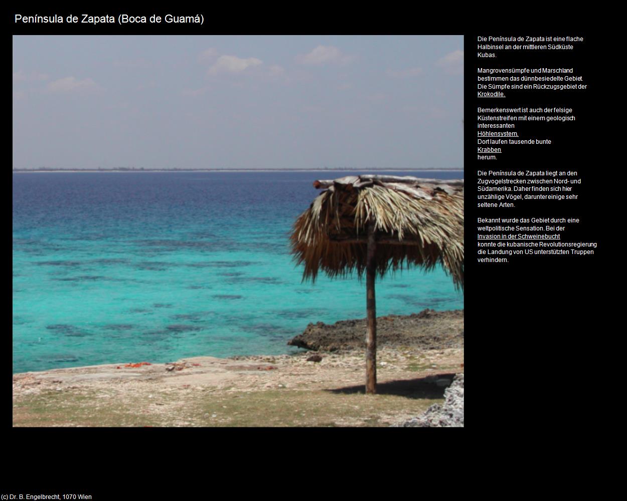 Península de Zapata (Boca de Guamá) in KUBA(c)B.Engelbrecht