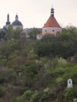 Kloster hl. Kreuz und Kapelle hl. Antonius von Padua  (Znojmo/Znaim)