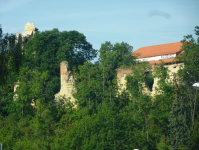 Burgruine Drazice (Benatky nad Jizerou/Benatek)