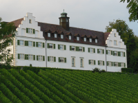 Schloss Hersberg (Immenstaad am Bodensee)