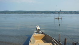 Fischerei (Reichenau)