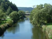 Donau (Geisingen)