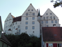 Schloss Scheer (Scheer)
