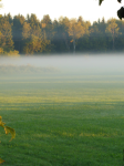 Landschaft (Bad Waldsee)