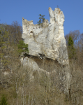 F&uuml;rstlicher Park (Inzighofen-Vilsingen)