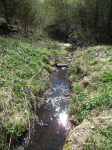 Neckarquelle (Schwenningen) (Villingen-Schwenningen )